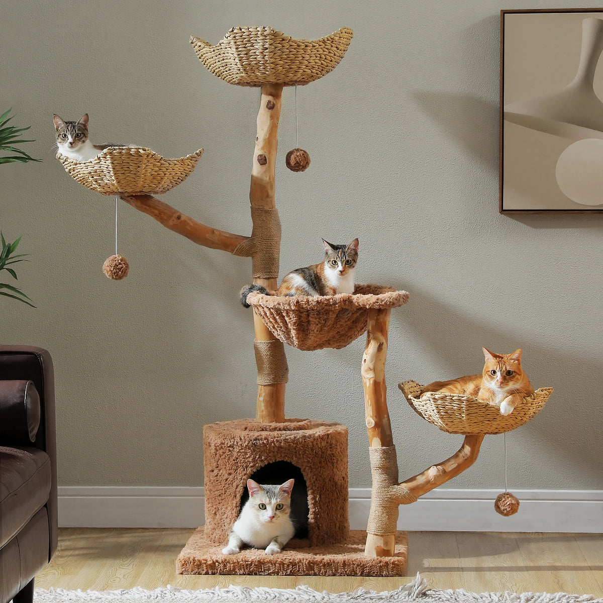 Arbre à chat fleurs en bois massif version paniers en rotin, dans un salon avec plusieurs chats installés