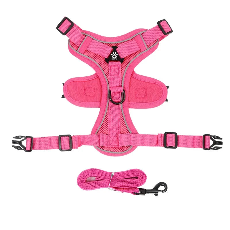 Ensemble harnais et laisse réfléchissant pour petit chien, coloris rose, harnais à plat et laisse