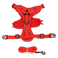 Ensemble harnais et laisse réfléchissant pour petit chien, coloris rouge, harnais à plat et laisse