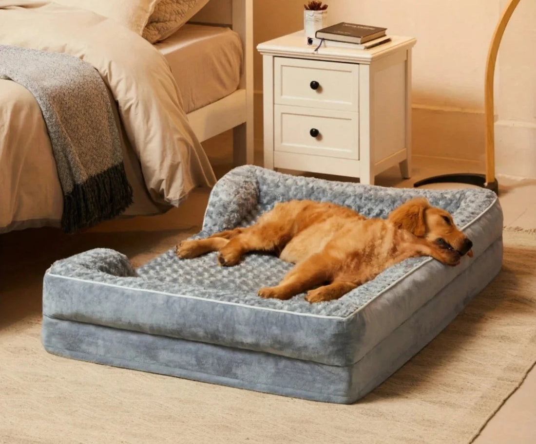 Coussin pour grand chien à rebords, gris, golden retriever allongé dessus, dans un salon clair