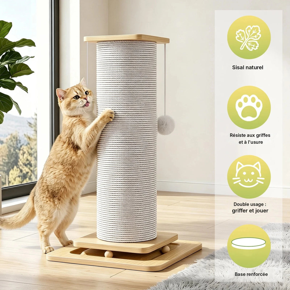Griffoir pour chat 3 en 1 en sisal, modèles 80 cm et 60 cm avec pompons et base à billes dans un salon