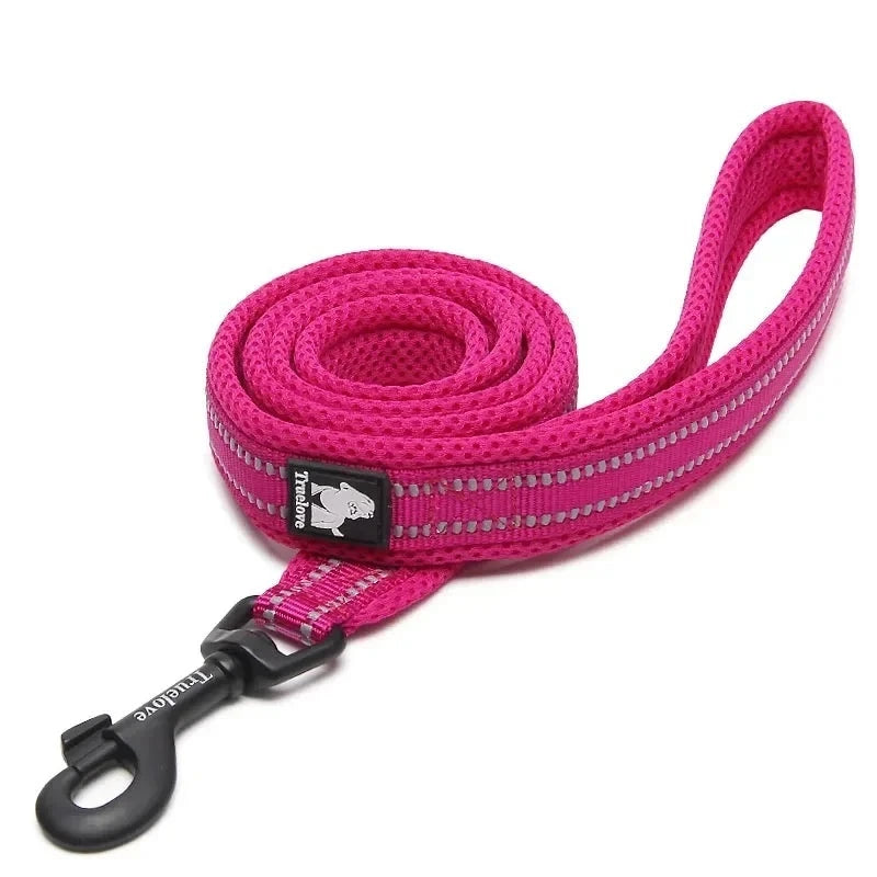 Laisse rembourrée réfléchissante Truelove 200 cm coloris fuchsia, enroulée avec mousqueton noir, sur fond blanc
