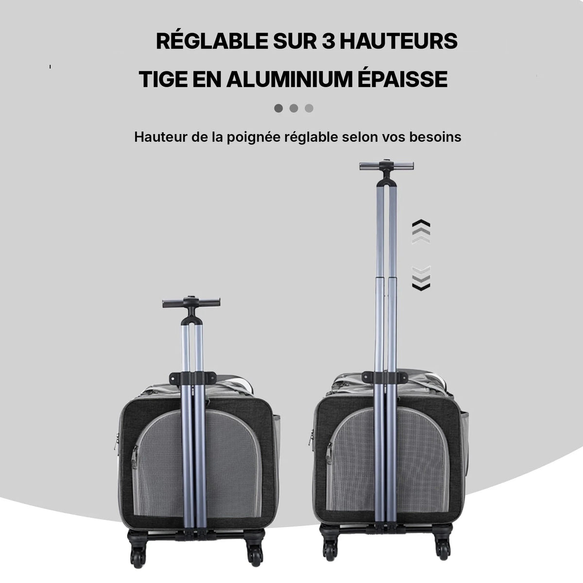 Sac trolley pliable à roulettes pour chat et chien avec poignée en aluminium réglable sur trois hauteurs