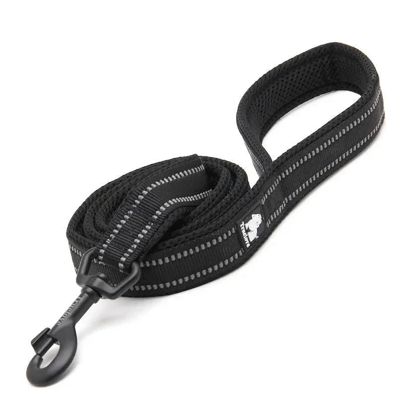 Laisse rembourrée réfléchissante Truelove 200 cm coloris noire, enroulée avec mousqueton noir, sur fond blanc