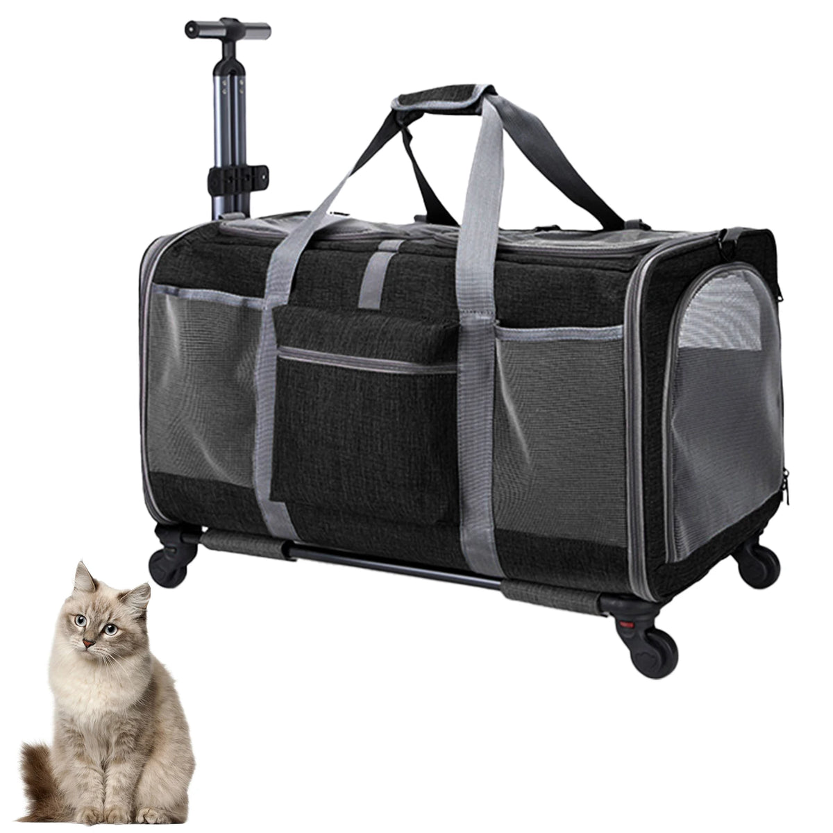 Sac trolley pliable à roulettes pour chat et chien noir et gris, poignée télescopique, chat assis à côté