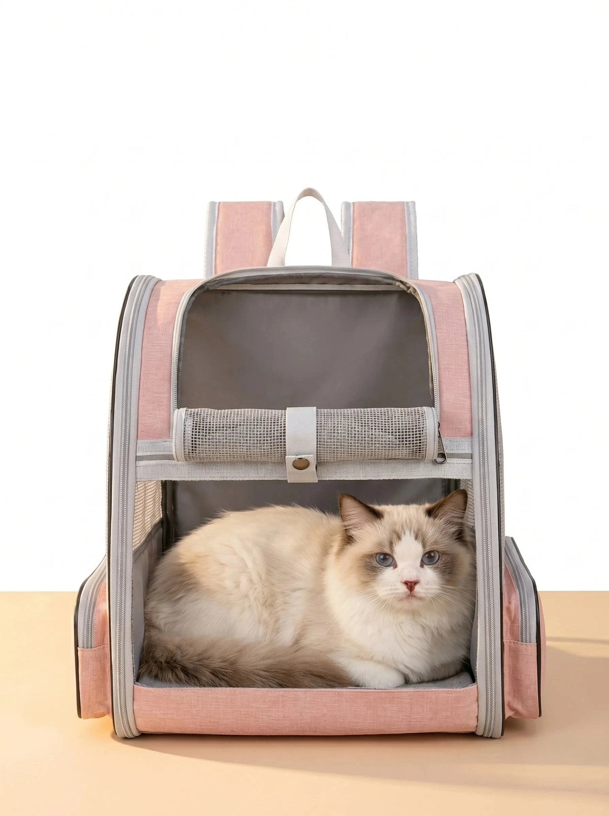 Sac à dos extensible et pliable rose pour chat et petit chien, chat ragdoll couché dans la partie avant