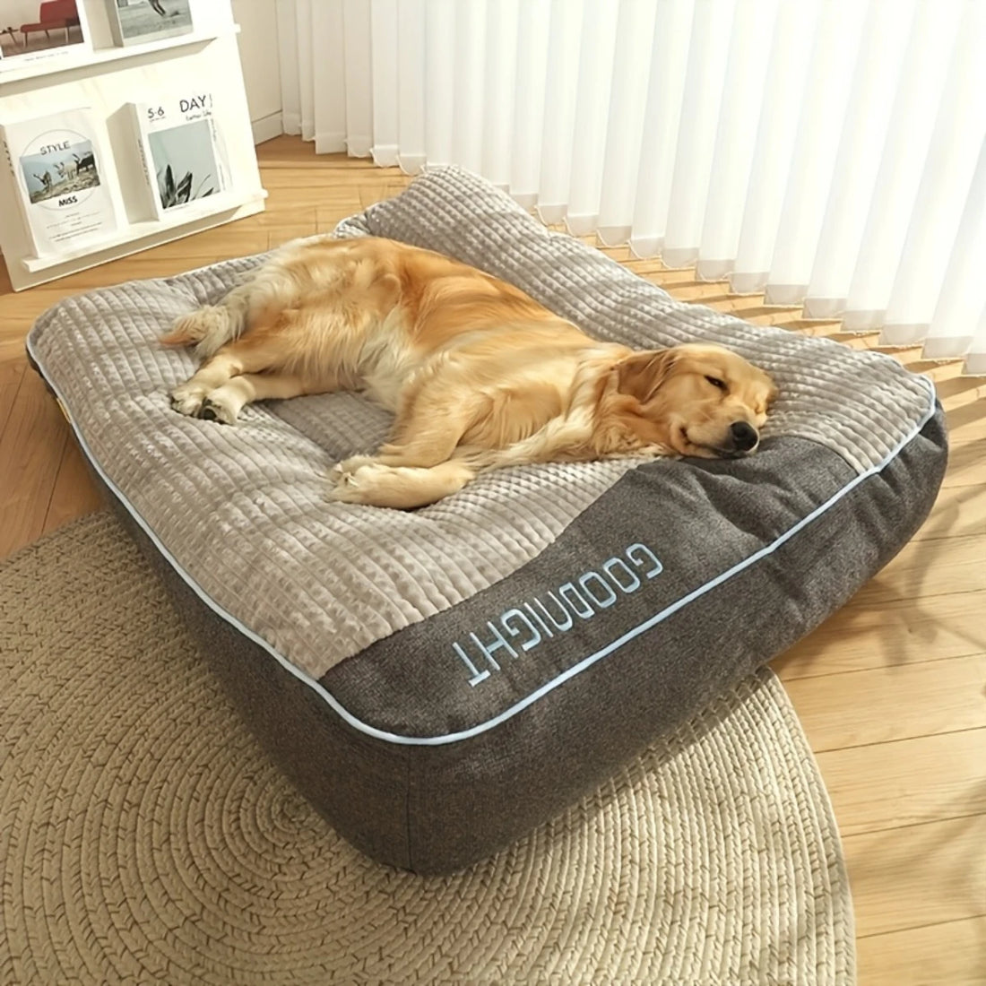 Lit-canapé XXL épais pour chien gris et taupe dans un salon en lumière du soir, golden retriever endormi