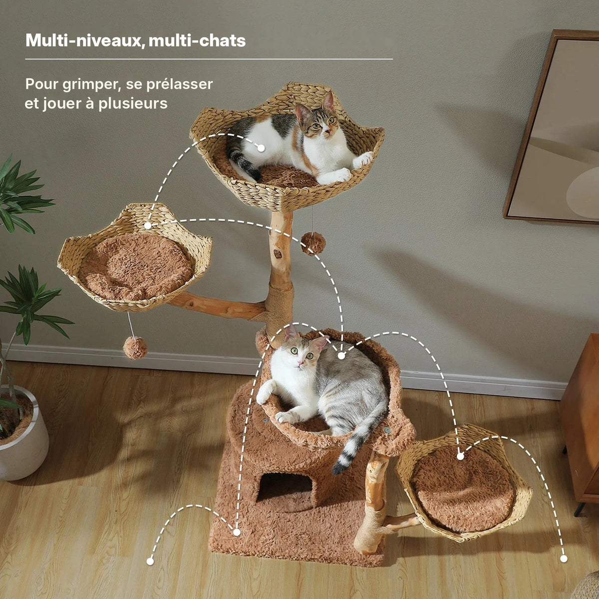 Arbre à chat fleurs en bois massif version rotin vu de dessus, plusieurs niveaux pour grimper et se reposer