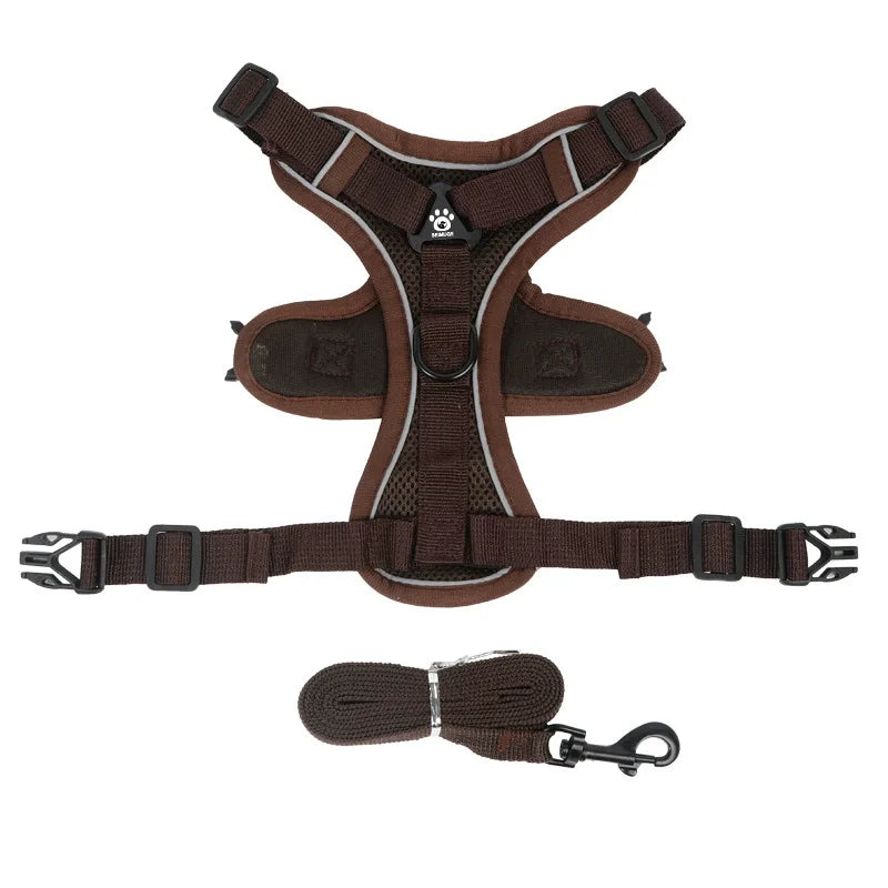 Ensemble harnais et laisse réfléchissant pour petit chien, coloris marron, harnais à plat et laisse