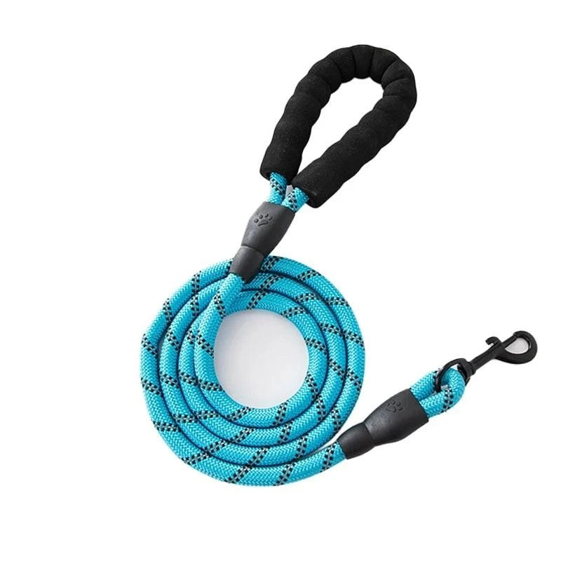 Laisse corde réfléchissante en nylon bleu ciel enroulée, avec poignée en mousse noire et mousqueton