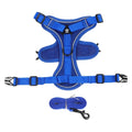 Ensemble harnais et laisse réfléchissant pour petit chien, coloris bleu roi, harnais à plat et laisse