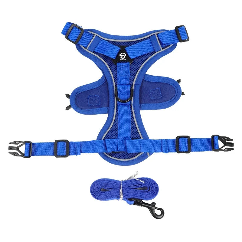 Ensemble harnais et laisse réfléchissant pour petit chien, coloris bleu roi, harnais à plat et laisse