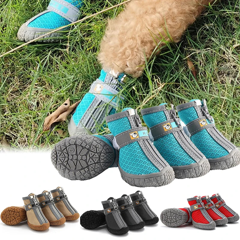Chaussures antidérapantes respirantes pour petit chien turquoise dans l'herbe, avec les coloris beige, noir et rouge