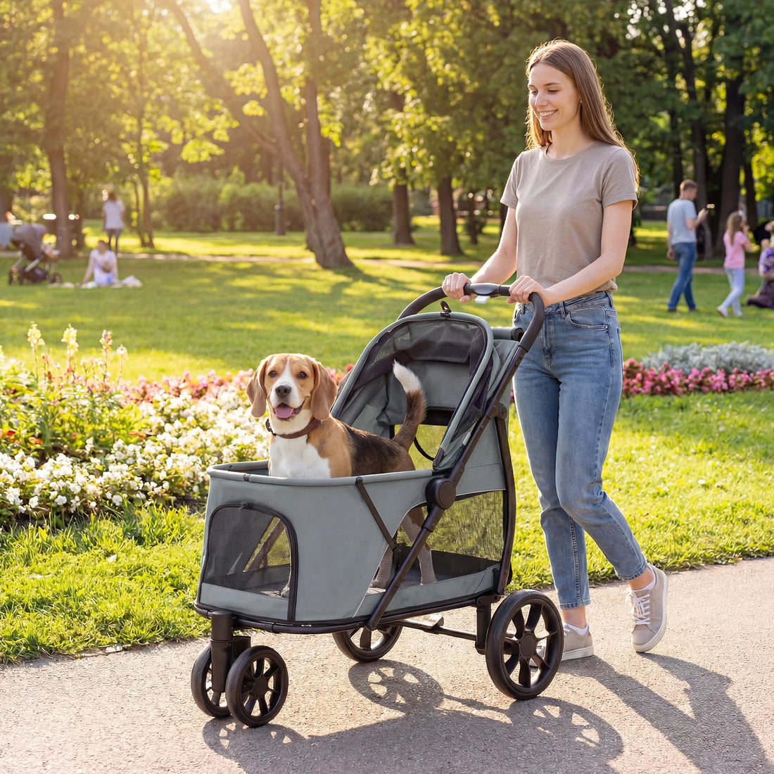 Poussette tout-terrain pliable PawHut pour chien grise à trois roues, beagle à l'intérieur, sur fond blanc