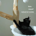 Tronc en bois naturel et corde de sisal de l'arbre à chat fleurs en bois massif, chat noir dans la coupe