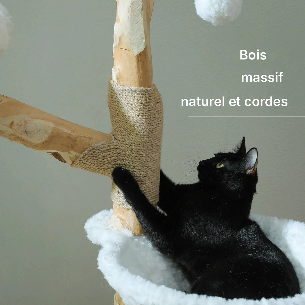 Tronc en bois naturel et corde de sisal de l'arbre à chat fleurs en bois massif, chat noir dans la coupe