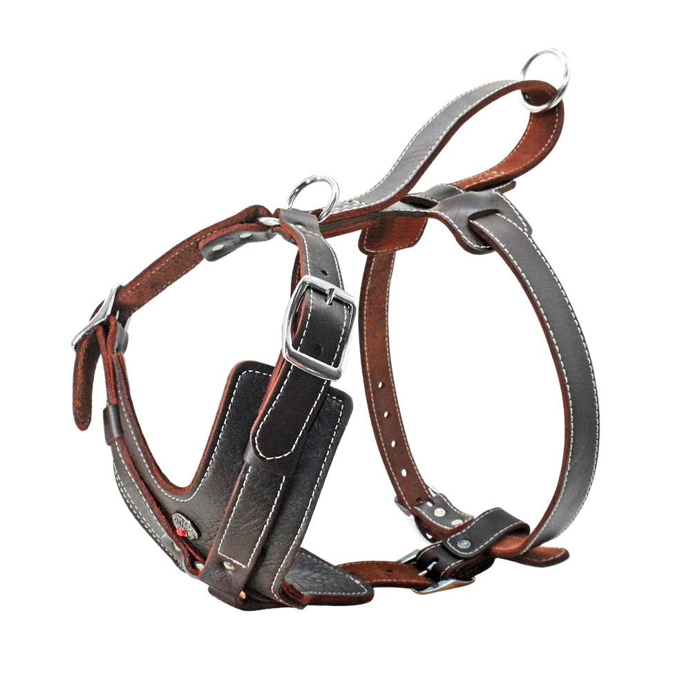 Harnais en cuir véritable marron avec poignée pour grand chien, boucles métalliques, vue de profil