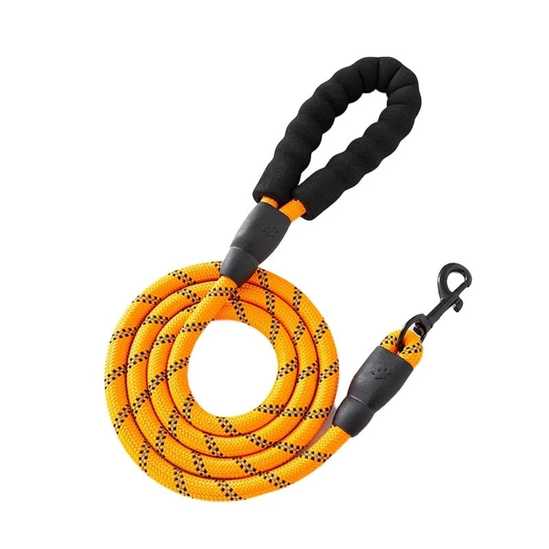 Laisse corde réfléchissante en nylon coloris orange avec poignée en mousse noire et mousqueton