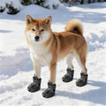 Bottines respirantes en EVA pour chien, lot de 4, portées par un shiba inu dans la neige