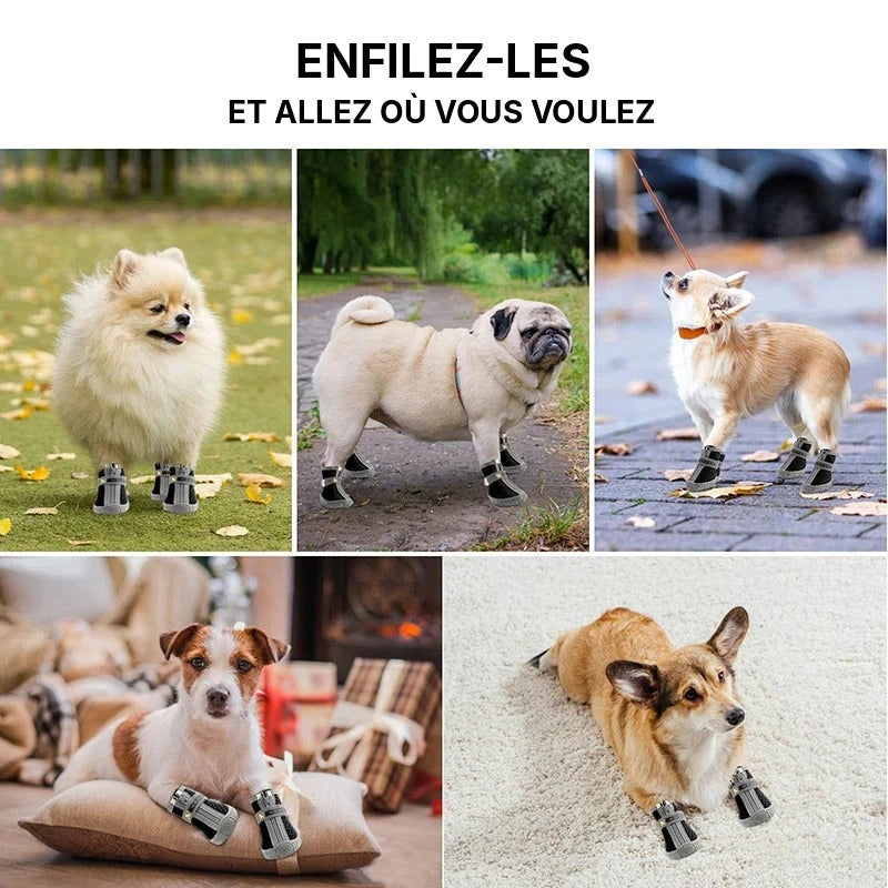 Chaussures antidérapantes respirantes pour petit chien portées par cinq petits chiens en extérieur et à la maison