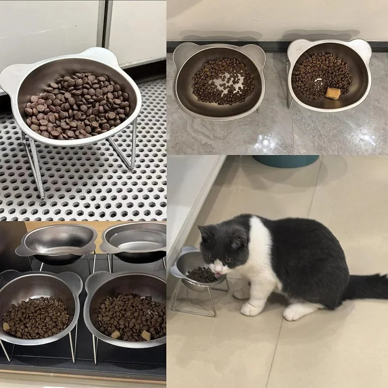 Photos de clients du bol incliné surélevé en inox 304 avec croquettes, et chat noir et blanc qui mange