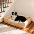 Lit pour chien BINGOPAW beige avec un border collie couché dessus, au pied d'un escalier