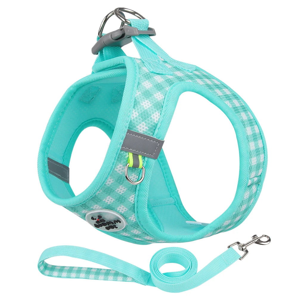 Harnais réfléchissant à carreaux pour petit chien et chat coloris vert d'eau avec laisse assortie et mousqueton