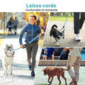 Laisse corde réfléchissante bleu ciel en promenade avec un husky, un chihuahua et un chien brun