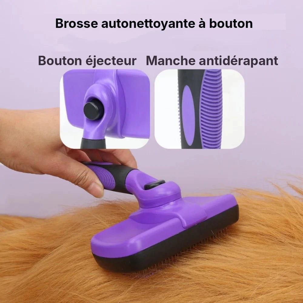 Kit de toilettage 9 pièces pour chien, brosse autonettoyante à bouton utilisée sur un pelage roux