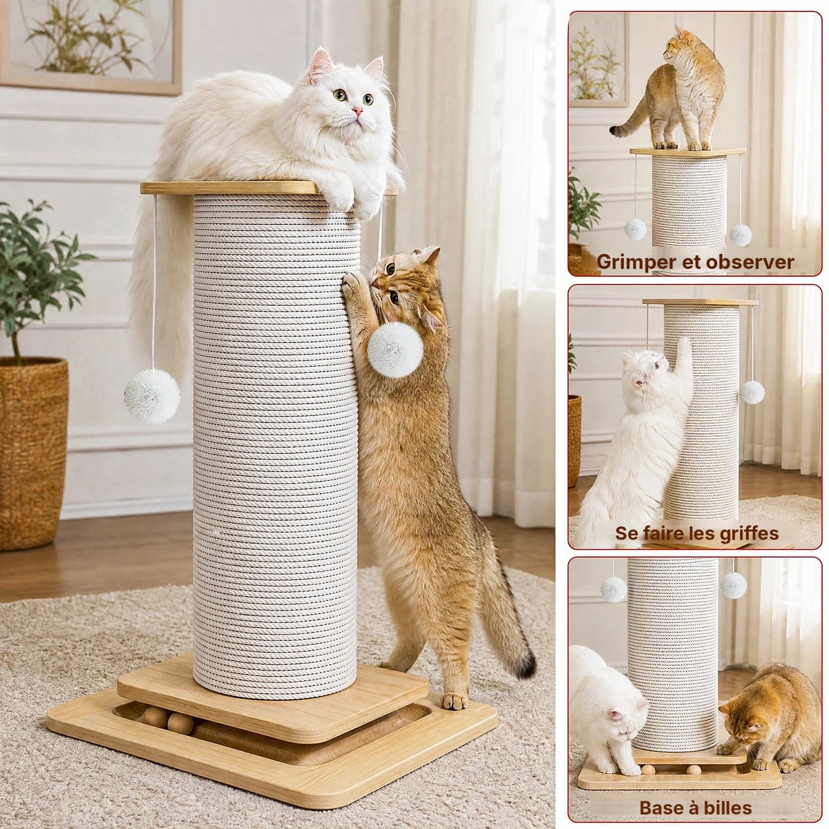 Griffoir pour chat 3 en 1 en sisal, chat blanc sur le plateau et chat tigré qui joue avec le pompon, détails en encarts