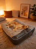 Lit-canapé XXL épais pour chien gris et taupe dans un salon en lumière du soir, golden retriever endormi