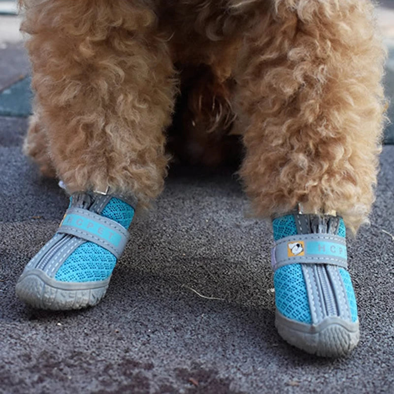 Lot de 4 chaussures antidérapantes respirantes pour petit chien turquoise, semelle crantée visible