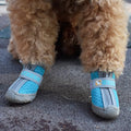 Chaussures antidérapantes respirantes pour petit chien turquoise portées par un caniche abricot sur le trottoir