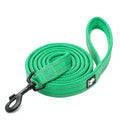 Laisse rembourrée réfléchissante Truelove 200 cm coloris vert gazon, enroulée avec mousqueton noir, sur fond blanc