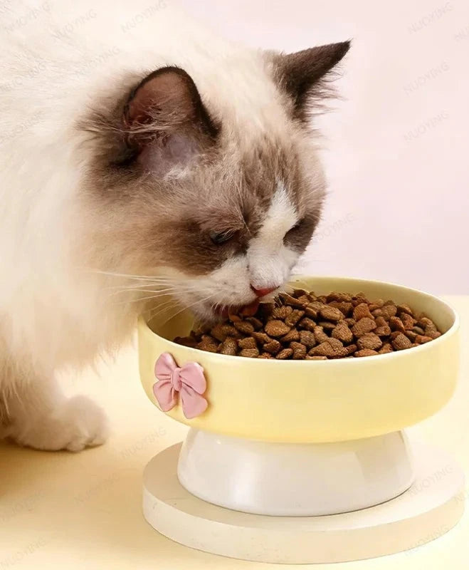 Bol surélevé en céramique avec nœud jaune, chat ragdoll qui mange des croquettes, hauteur de 8 cm indiquée