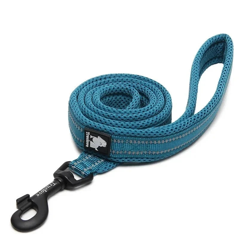 Laisse rembourrée réfléchissante Truelove 200 cm coloris bleu pétrole, enroulée avec mousqueton noir, sur fond blanc
