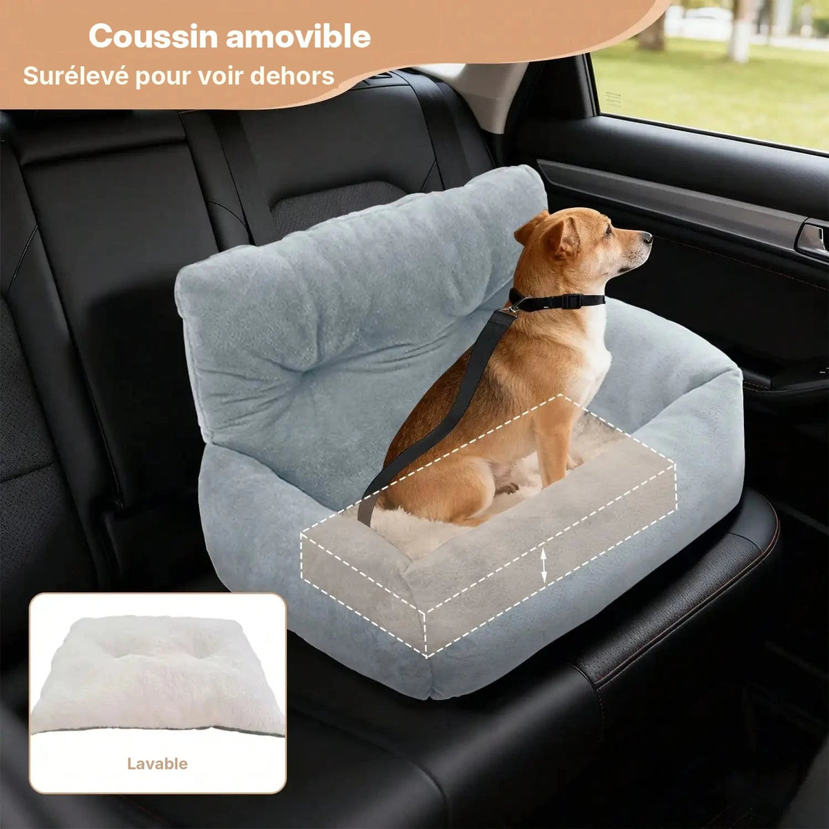 Siège rehausseur auto en peluche pour petit chien et chat sur la banquette arrière, chien attaché