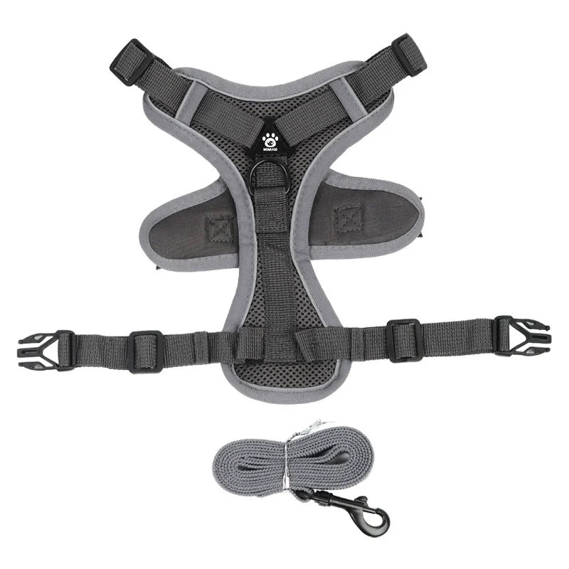 Ensemble harnais et laisse réfléchissant pour petit chien, coloris gris, harnais à plat et laisse