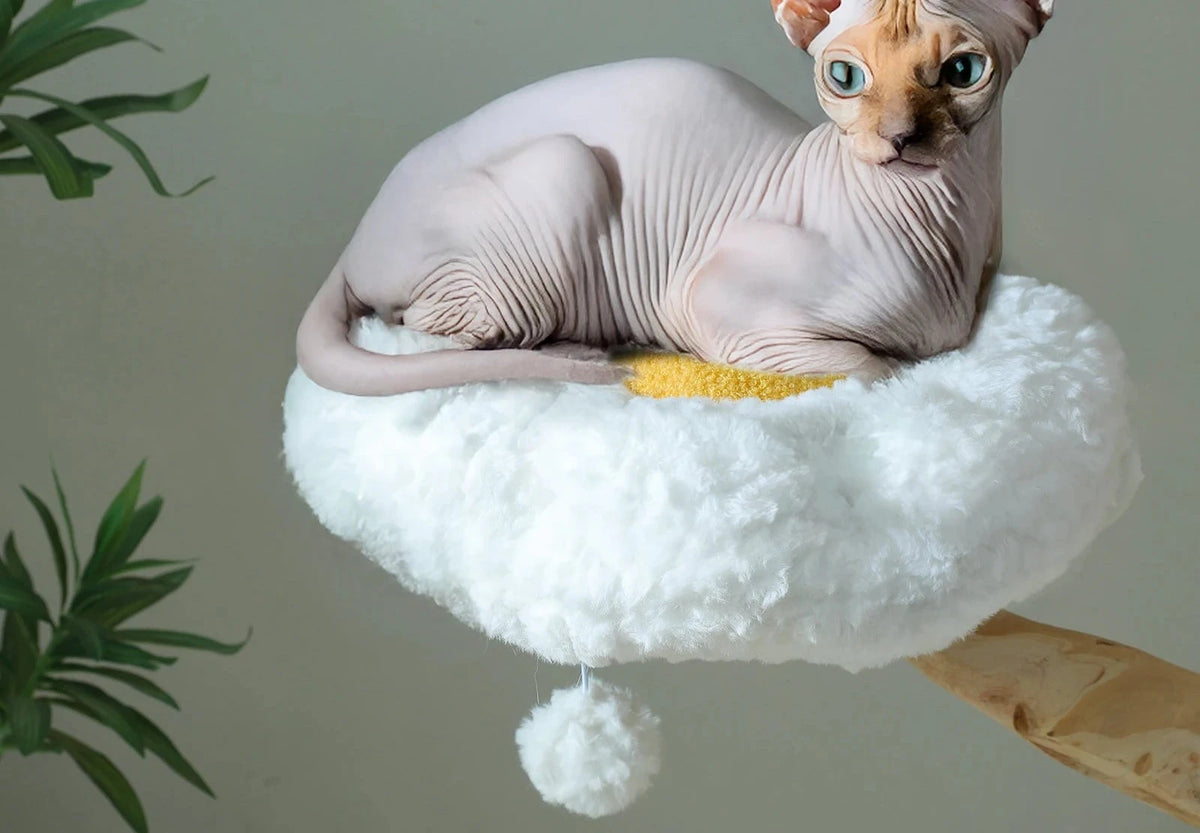 Perchoir fleur en peluche blanche de l'arbre à chat fleurs en bois massif avec un chat sphynx installé