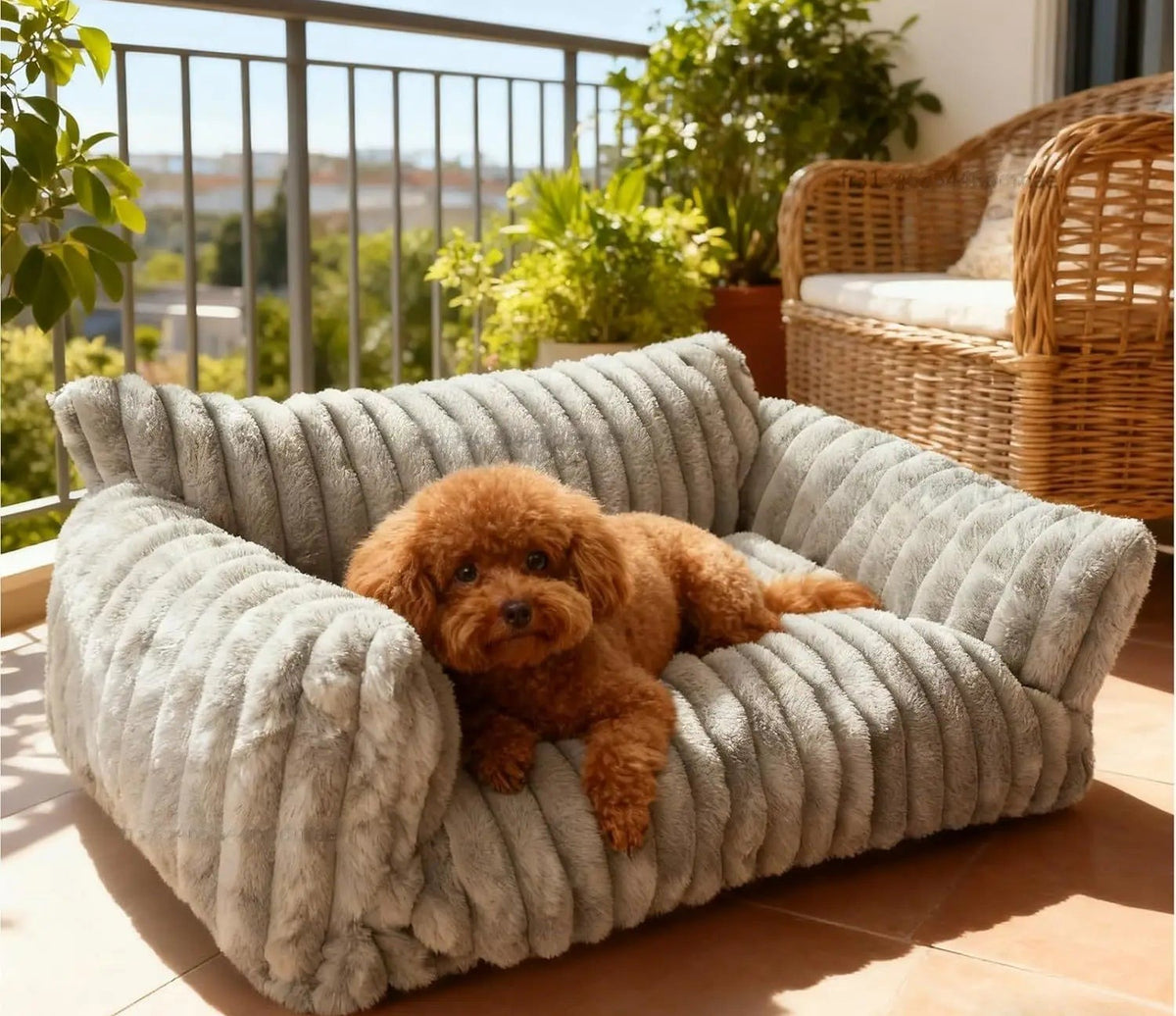 Canapé en velours côtelé gris sur un balcon ensoleillé, caniche roux installé dessus